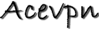 AceVPN 500x150 1