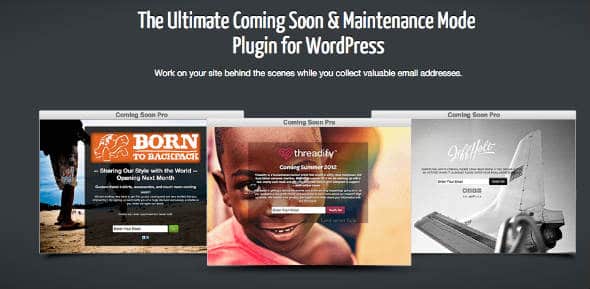 Seedpod Coming Soon Page Builder