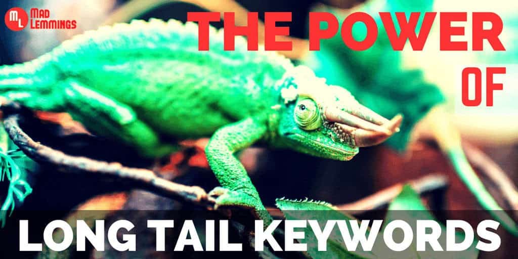 The Power of Long Tail Keywords