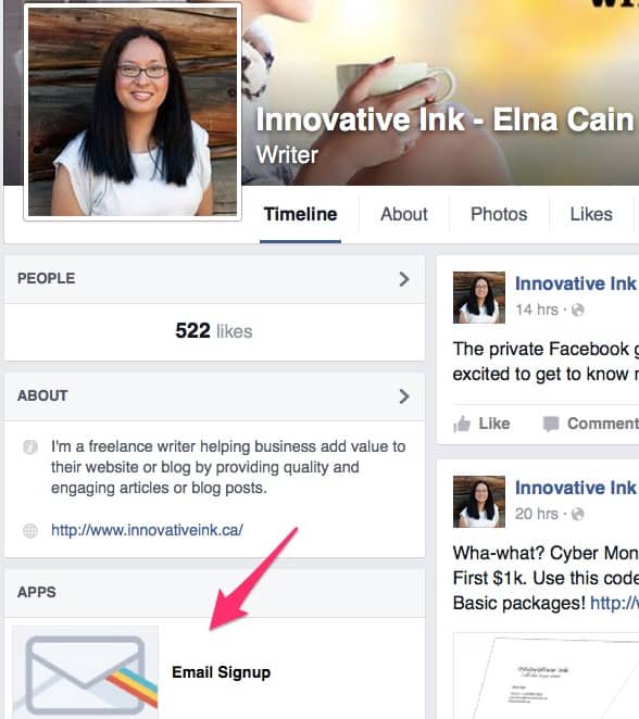 Elna Cain Signup Form